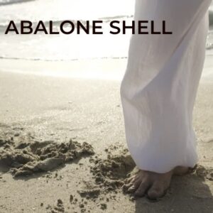 Abalone Shell