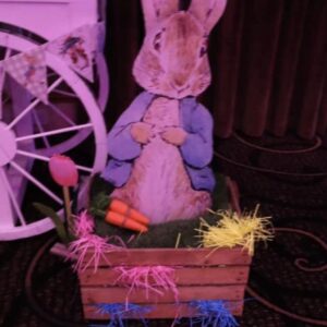 Peter rabbit prop